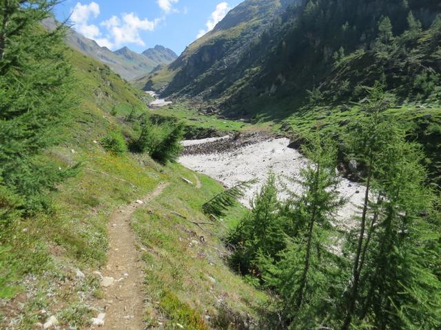 über Matten steigen wir in die Sohle des Steinutals...