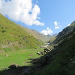 wir überqueren den Steinubach, der ganz hinten im Tal am Steinugletscher entspringt...