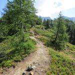 der Bergweg schwenkt nun links zu einer Geländerippe