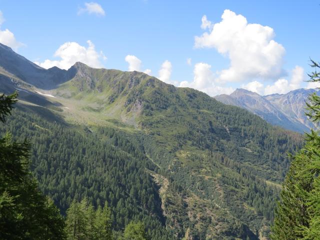 Blick auf die andere Talseite nach Heitrich und den Kessel von Alpji. Bald sind wir dort