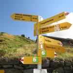 Wegweiser bei der Bortelhütte