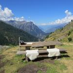 oben bei der schmucken Bortelhütte geniessen wir die Mittagsrast...