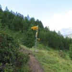 ...und wir treffen auf die Alp Schrickboden 1927 m.ü.M. ein