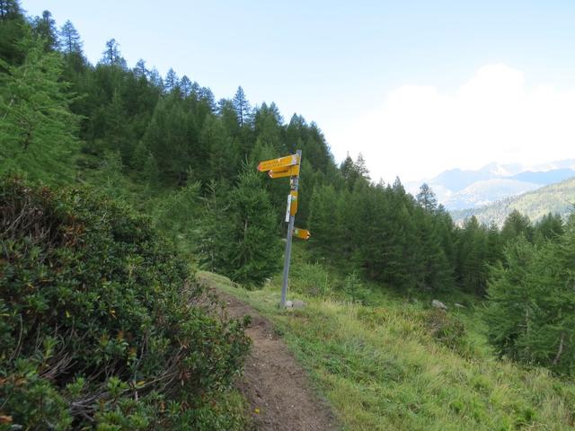 ...und wir treffen auf die Alp Schrickboden 1927 m.ü.M. ein