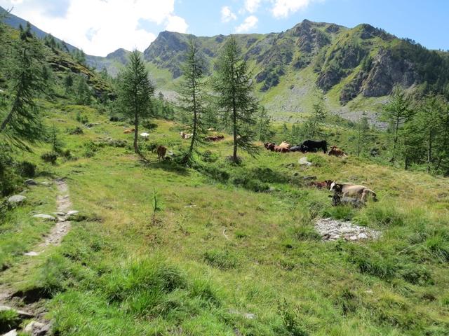 ...bergan wandernd auf den Heitrich