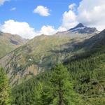 Blick zur Bortelhütte und Bortelhorn