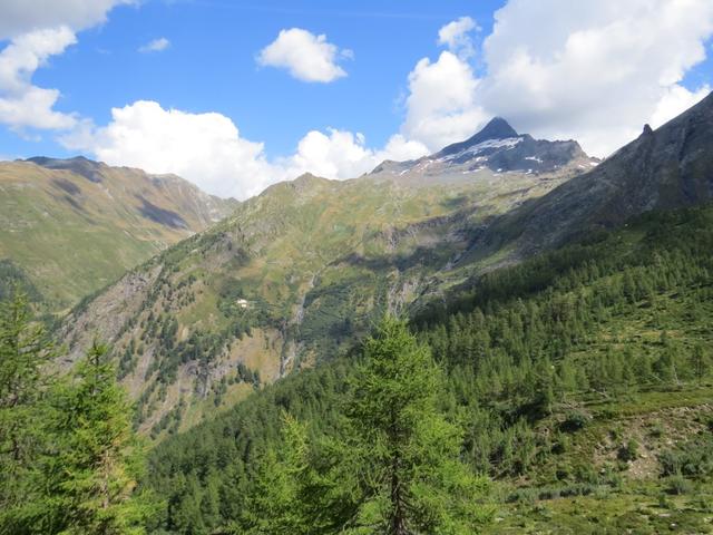 Blick zur Bortelhütte und Bortelhorn