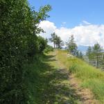 am höchsten Punkt des Heitrich 2055 m.ü.M. gelangen wir wieder an eine Wegverzweigung