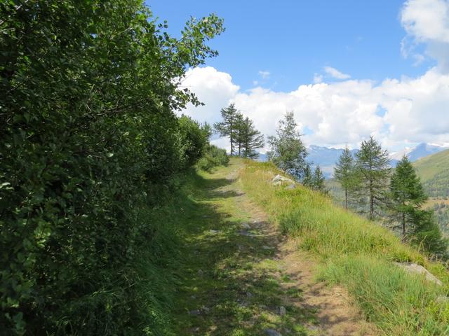 am höchsten Punkt des Heitrich 2055 m.ü.M. gelangen wir wieder an eine Wegverzweigung