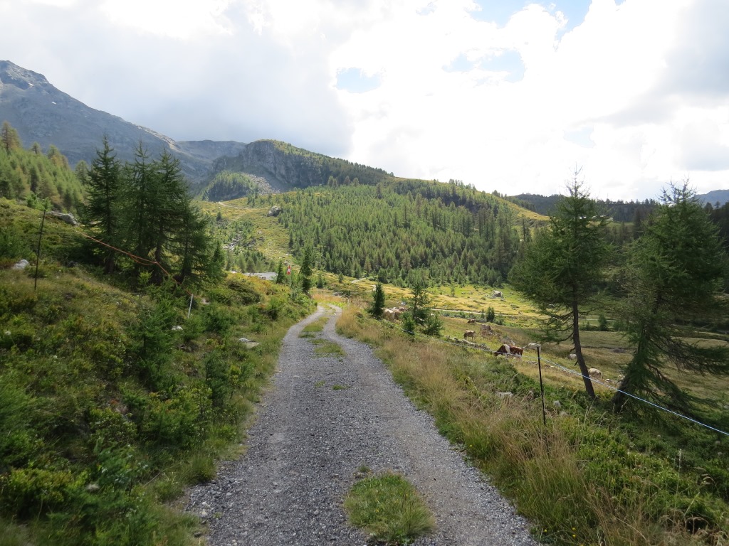 bei der Wegverzweigung Punkt 2083 m.ü.M. schlägt der sehr schöne Wanderweg einen Bogen nach links...