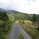 bei der Wegverzweigung Punkt 2083 m.ü.M. schlägt der sehr schöne Wanderweg einen Bogen nach links...