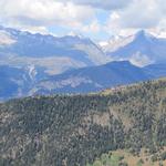 Blick nach Rosswald und dahinter in die Walliser- und Berner Hochalpen