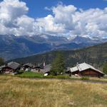 auf dem breiten Weg wandern wir ein kurzes Stück nahezu eben am Rand des Lärchenwaldes entlang und treffen bald in Wase ein