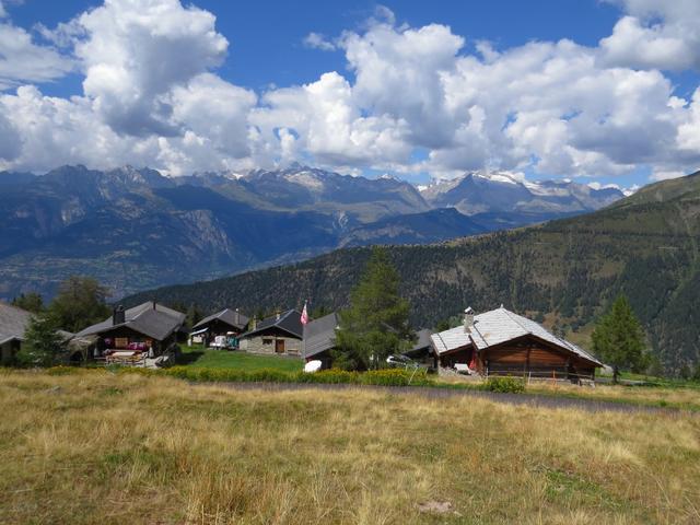 auf dem breiten Weg wandern wir ein kurzes Stück nahezu eben am Rand des Lärchenwaldes entlang und treffen bald in Wase ein