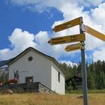 Wegweiser bei Wase 1959 m.ü.M. oder auch Wasenalp genannt