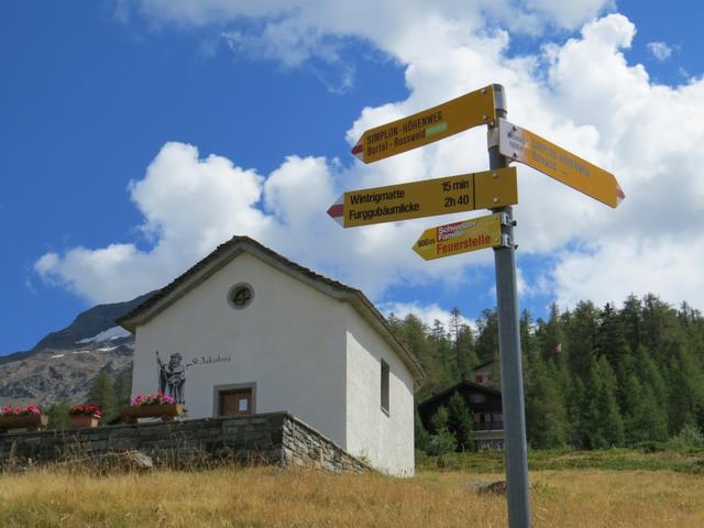 Wegweiser bei Wase 1959 m.ü.M. oder auch Wasenalp genannt