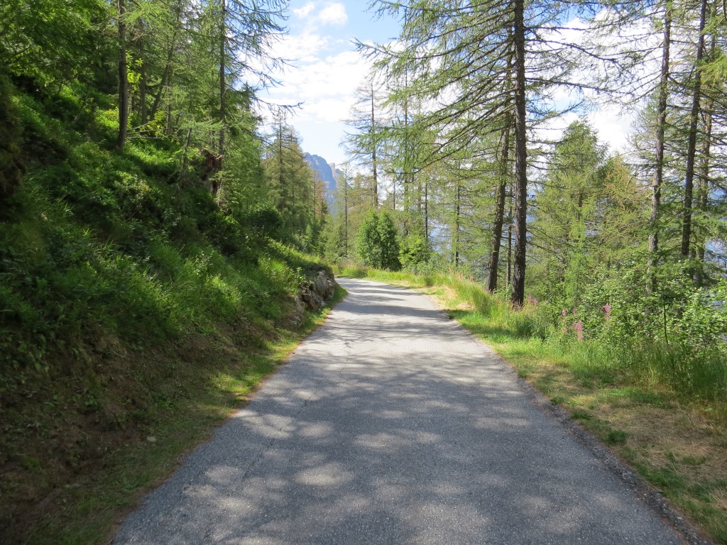 gemütlich absteigend folgen wir weiterhin der Forststrasse, die uns durch den Wald und über den Durstbach 1937 m.ü.M. führt