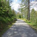 gemütlich absteigend folgen wir weiterhin der Forststrasse, die uns durch den Wald und über den Durstbach 1937 m.ü.M. führt