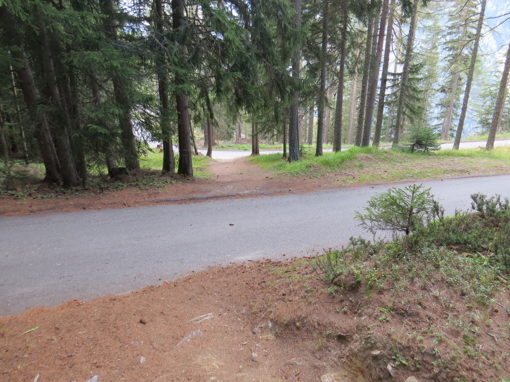 ...kürzt die Schleifen der Strasse ab und bringt uns schliesslich zum ende des Simplon-Höhenweg...