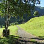 wir folgen den alten Säumern und marschieren hinunter nach Gstein und gleichzeitig zur Laggina