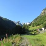 mit Blick auf Balmahorn, Tossenhorn, Tälligletscher und Tällihorn wandern wir weiter taleinwärts