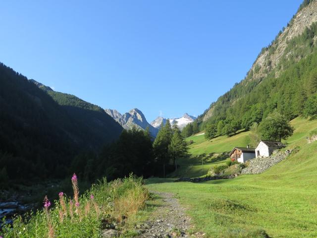 mit Blick auf Balmahorn, Tossenhorn, Tälligletscher und Tällihorn wandern wir weiter taleinwärts