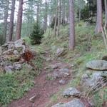 bei Gsteihüs verzweigt sich der Weg. Linker Hand führt er durch die enge Gondoschlucht