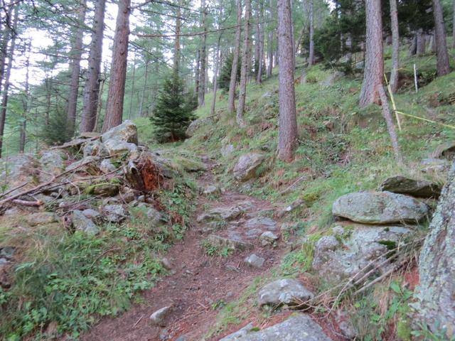 bei Gsteihüs verzweigt sich der Weg. Linker Hand führt er durch die enge Gondoschlucht