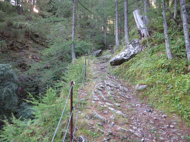 ...und steigen am Bergrücken des Feerberg hinan