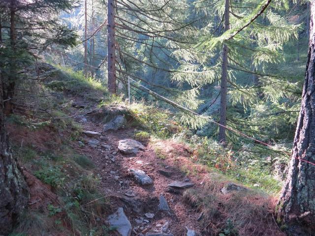 nach einem kurzen Waldstück bezwingt der Weg in engen, kunstvoll angelegten Kehren den steilen Hang