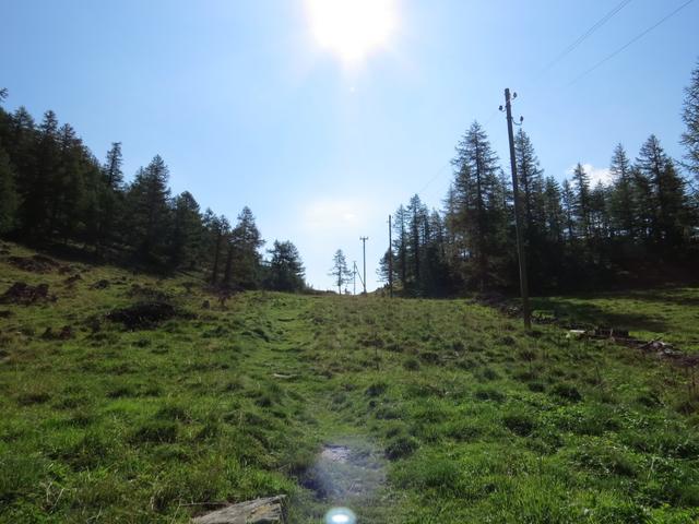 über die Lätzi Matta (letzte Matte) erreichen wir in südöstlicher Richtung...
