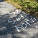 beim Wegweiser kein Hinweis "Seehorn"! Der Hinweis "Seehorn" ist auf dem Asphaltsträsschen geschrieben