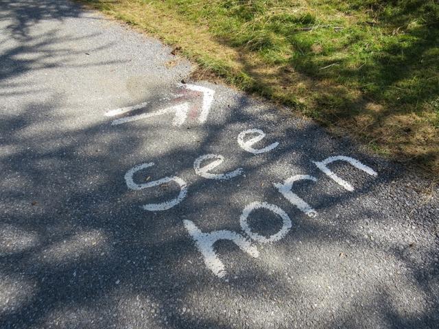 beim Wegweiser kein Hinweis "Seehorn"! Der Hinweis "Seehorn" ist auf dem Asphaltsträsschen geschrieben