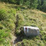 auf dem einfachen jetzt noch markierten Wanderweg geht es nun steiler aufwärts