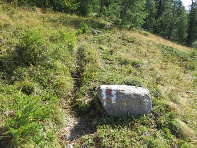 auf dem einfachen jetzt noch markierten Wanderweg geht es nun steiler aufwärts