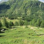 Blick hinunter zur Passhöhe Furggu