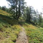 der Bergpfad führt uns durch eine schöne Landschaft...