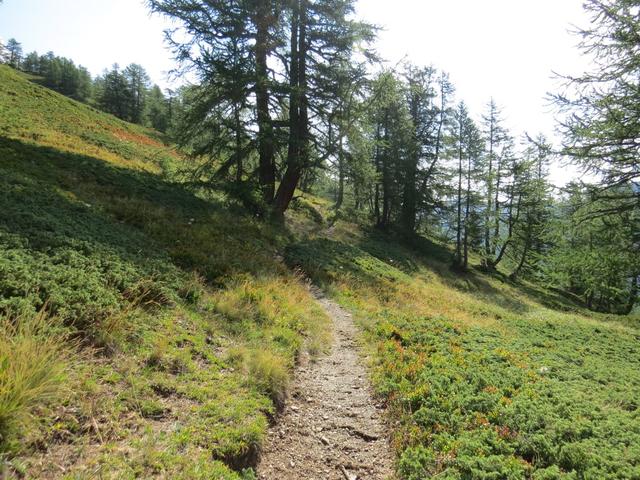 der Bergpfad führt uns durch eine schöne Landschaft...