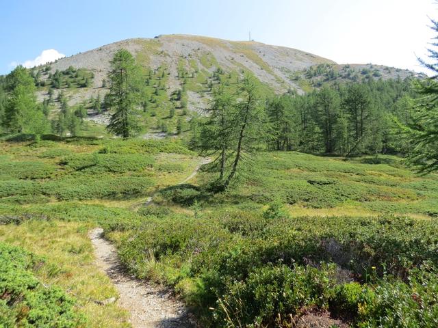 möchte man bei Wanderungen grosse Menschenmassen ausweichen, ist man hier oben richtig