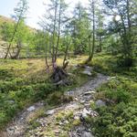 wir lassen den Bergsee hinter uns und wandern weiter bergauf