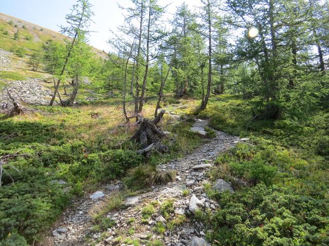 wir lassen den Bergsee hinter uns und wandern weiter bergauf