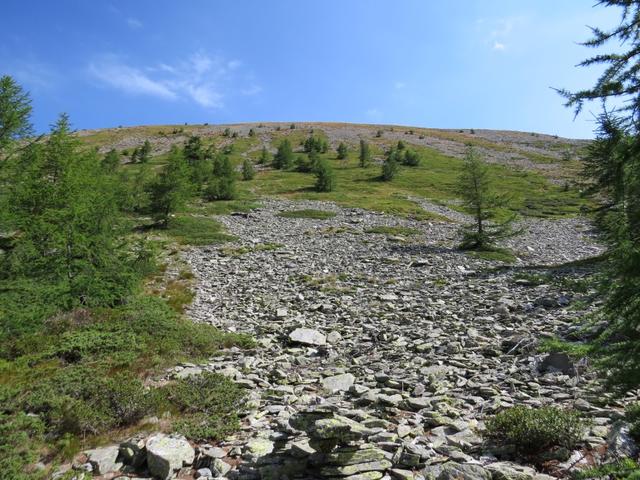 in fünf weit ausholende Serpentinen führt der immer noch einfache aber nun steile Bergpfad Richtung Seehorn