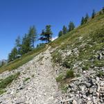 der Bergpfad ist immer gut ersichtlich und nicht ausgesetzt