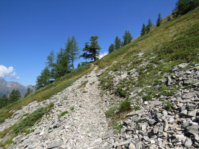 der Bergpfad ist immer gut ersichtlich und nicht ausgesetzt