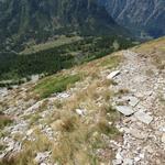 Blick auf den Bergsee