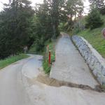 ein kurzes Stück laufen wir auf der Zufahrtstrasse von Rosswald, biegen aber rasch von der Asphaltstrasse rechts ab