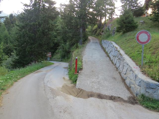 ein kurzes Stück laufen wir auf der Zufahrtstrasse von Rosswald, biegen aber rasch von der Asphaltstrasse rechts ab