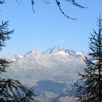 ab jetzt beginnt eine Panoramawanderung die ihresgleichen sucht. Blick zum Breithorn und Nesthorn