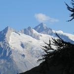 Blick zum Fusshorn, Geisshorn und Aletschhorn