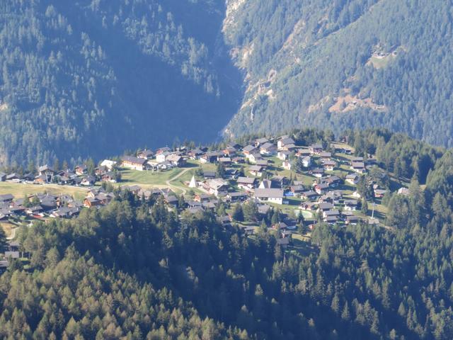 Rosswald herangezoomt